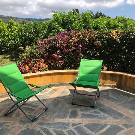 Casa Clementina Apartment Пицо Екстериор снимка