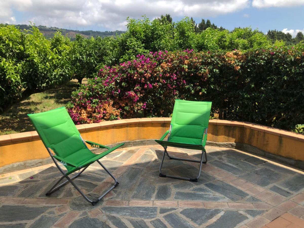 Casa Clementina Apartment Пицо Екстериор снимка